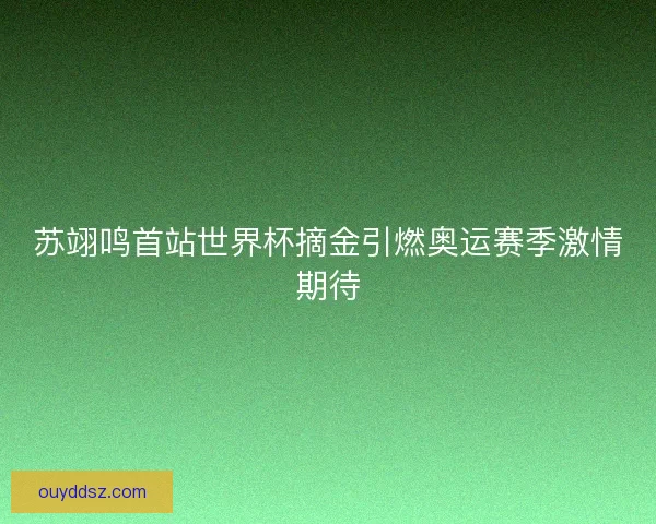 苏翊鸣首站世界杯摘金引燃奥运赛季激情期待 苏翊鸣首站世界杯摘金引燃奥运赛季激情期待